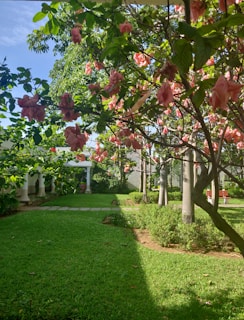 A vibrant garden scene with blooming flowers, a rustic wooden bench, and sunlight filtering through leafy trees.