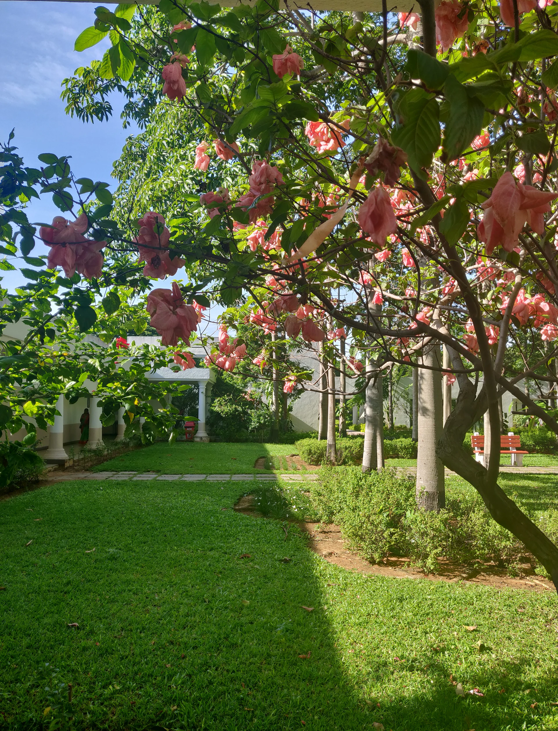 black and white bed linen