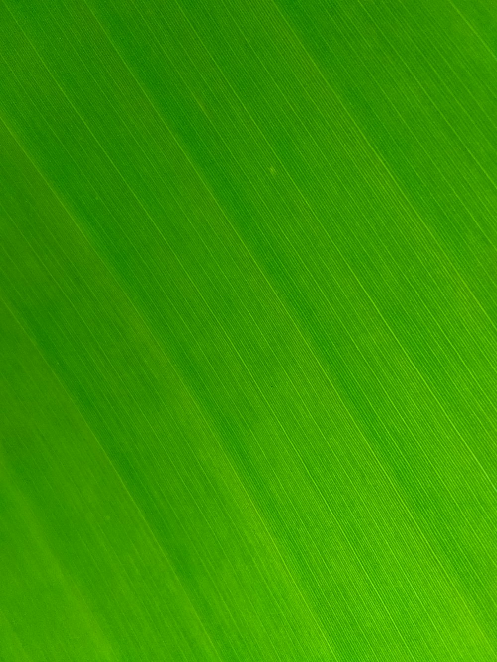 green background