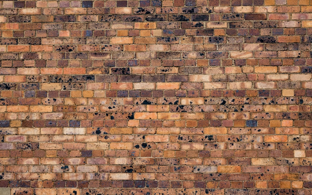 brown and white brick wall