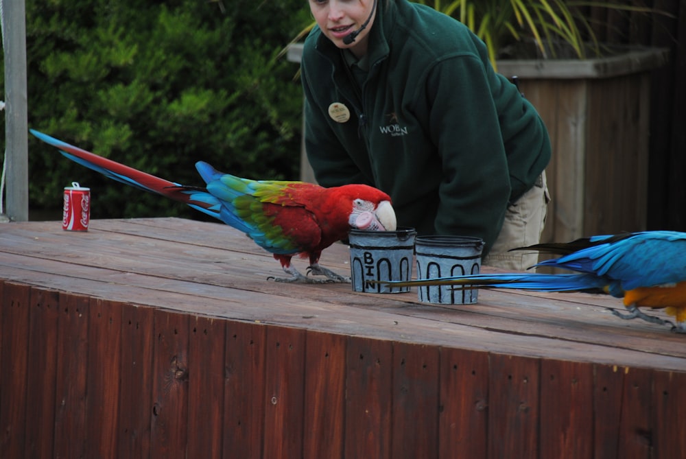 man in green jacket holding blue and red parrot