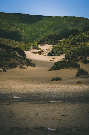 A serene desert landscape with soft sand dunes blending into rocky hills under a clear sky.