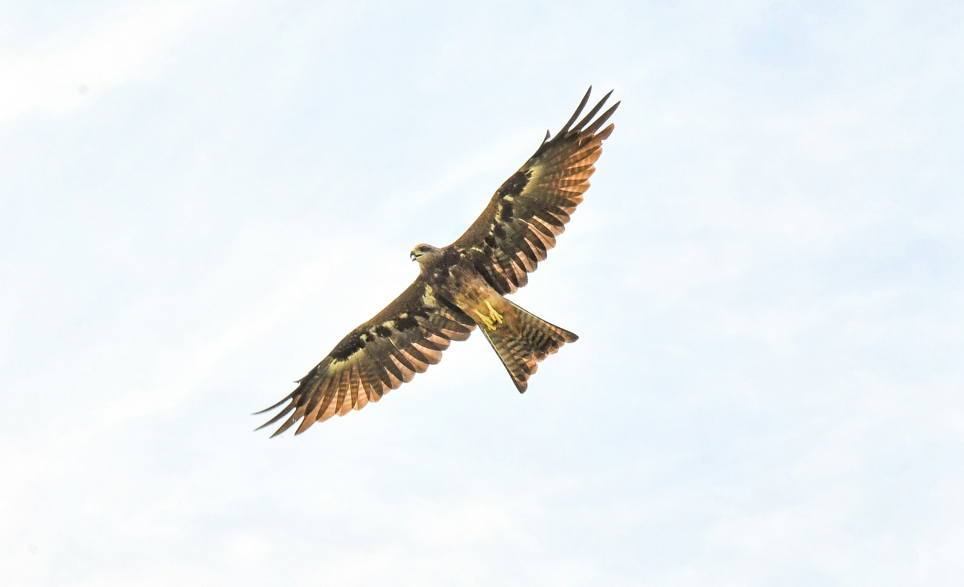 Photo by princesoni_photography