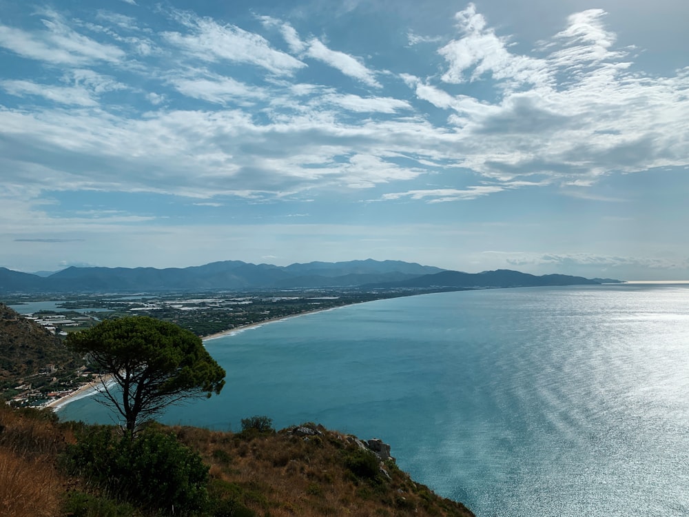 green trees near body of water under cloudy sky during daytime