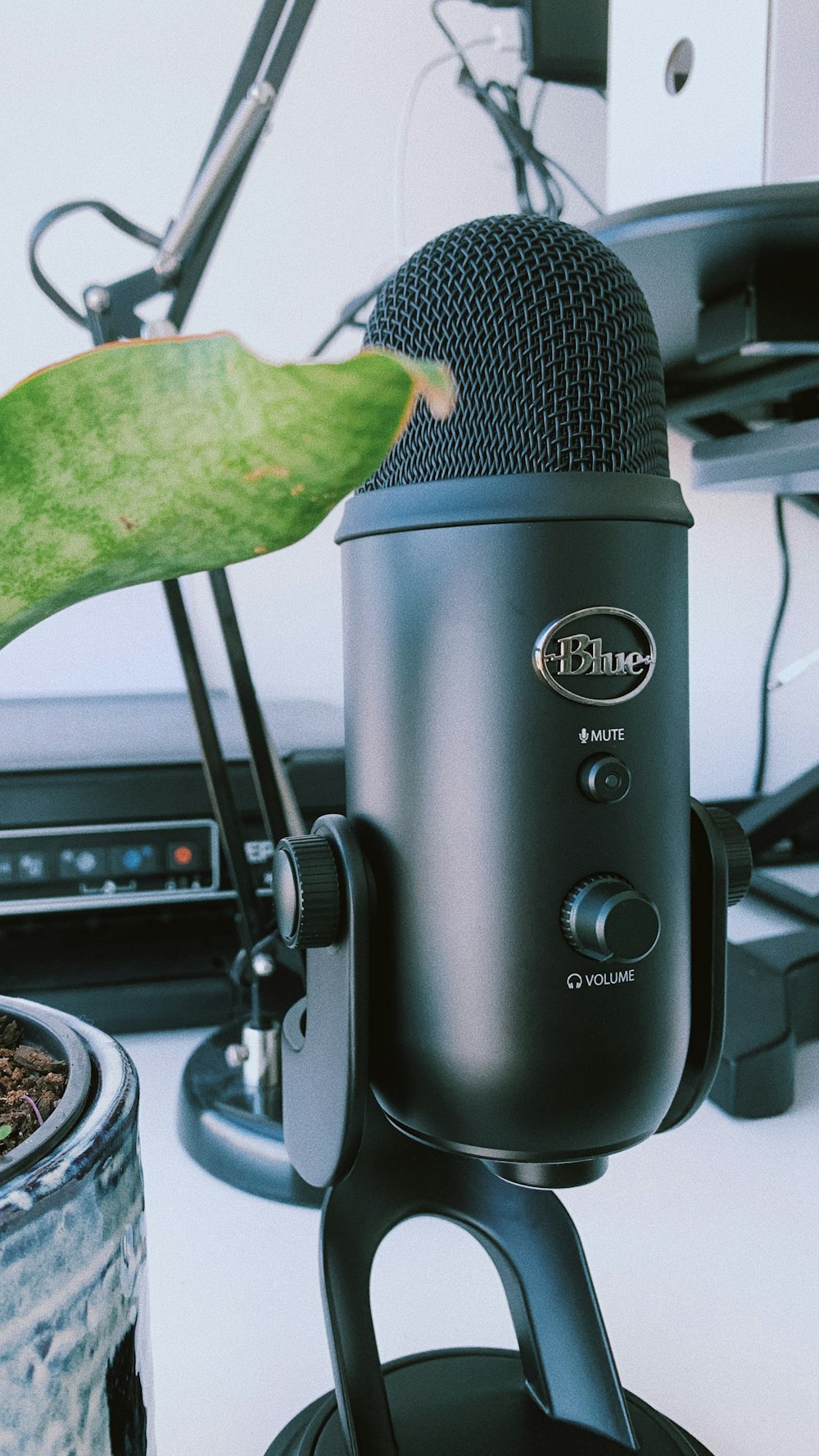 a microphone sitting on top of a table next to a plant