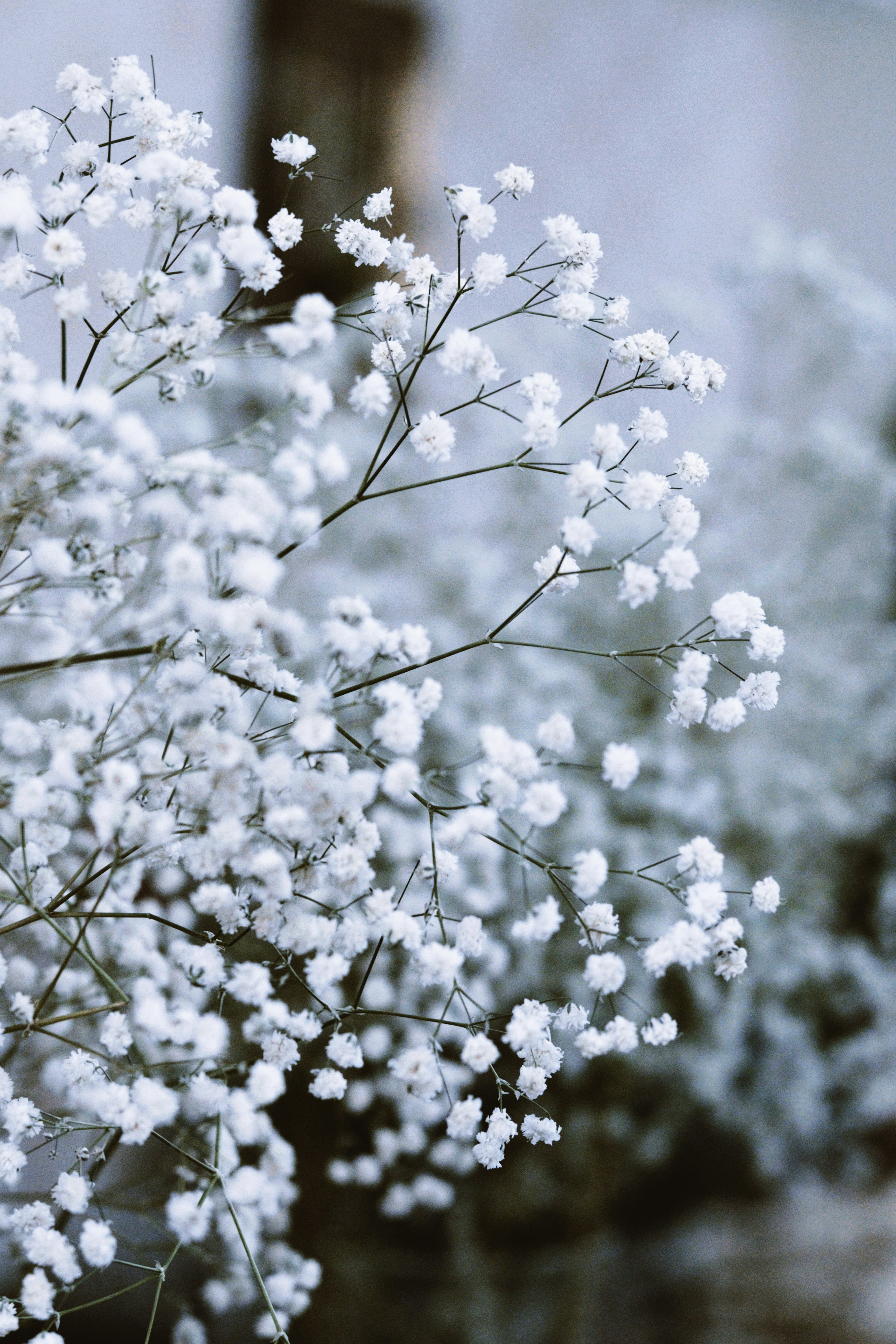 Photo by habibdadkhah