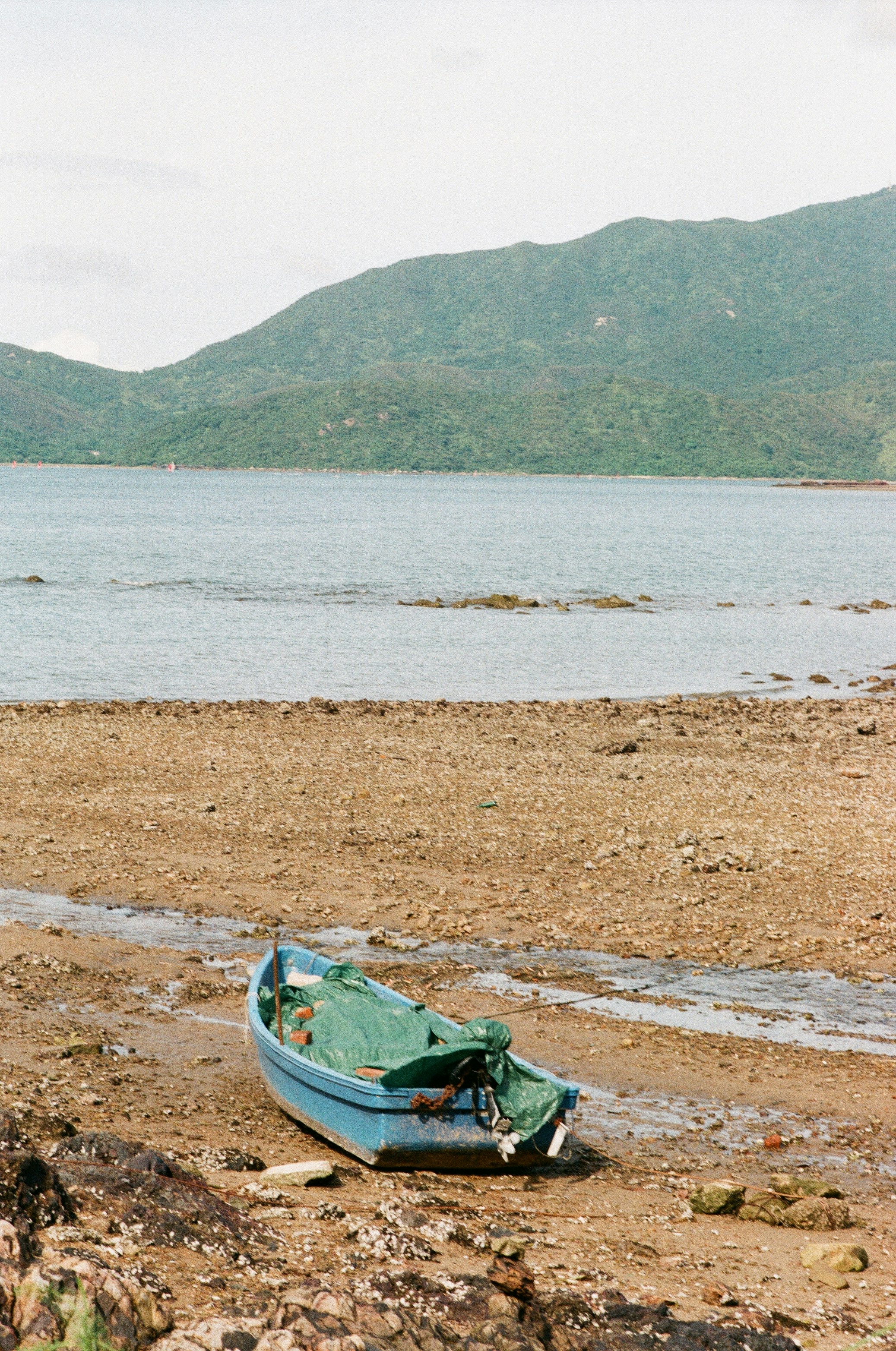 Photo by kirklai