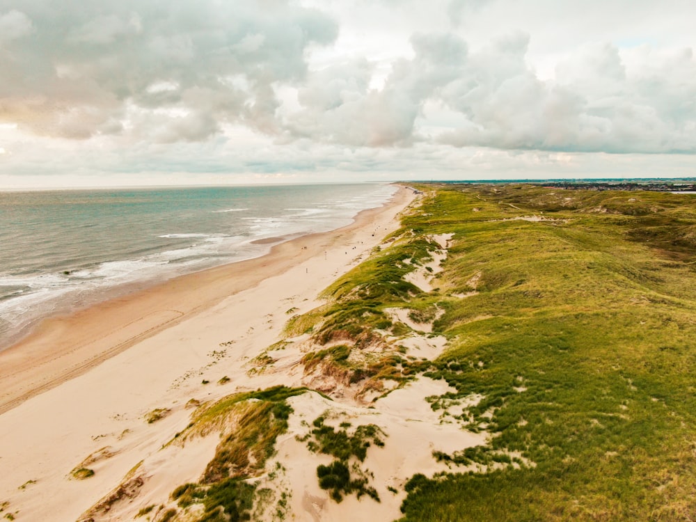 green grass on seashore under cloudy sky during daytime