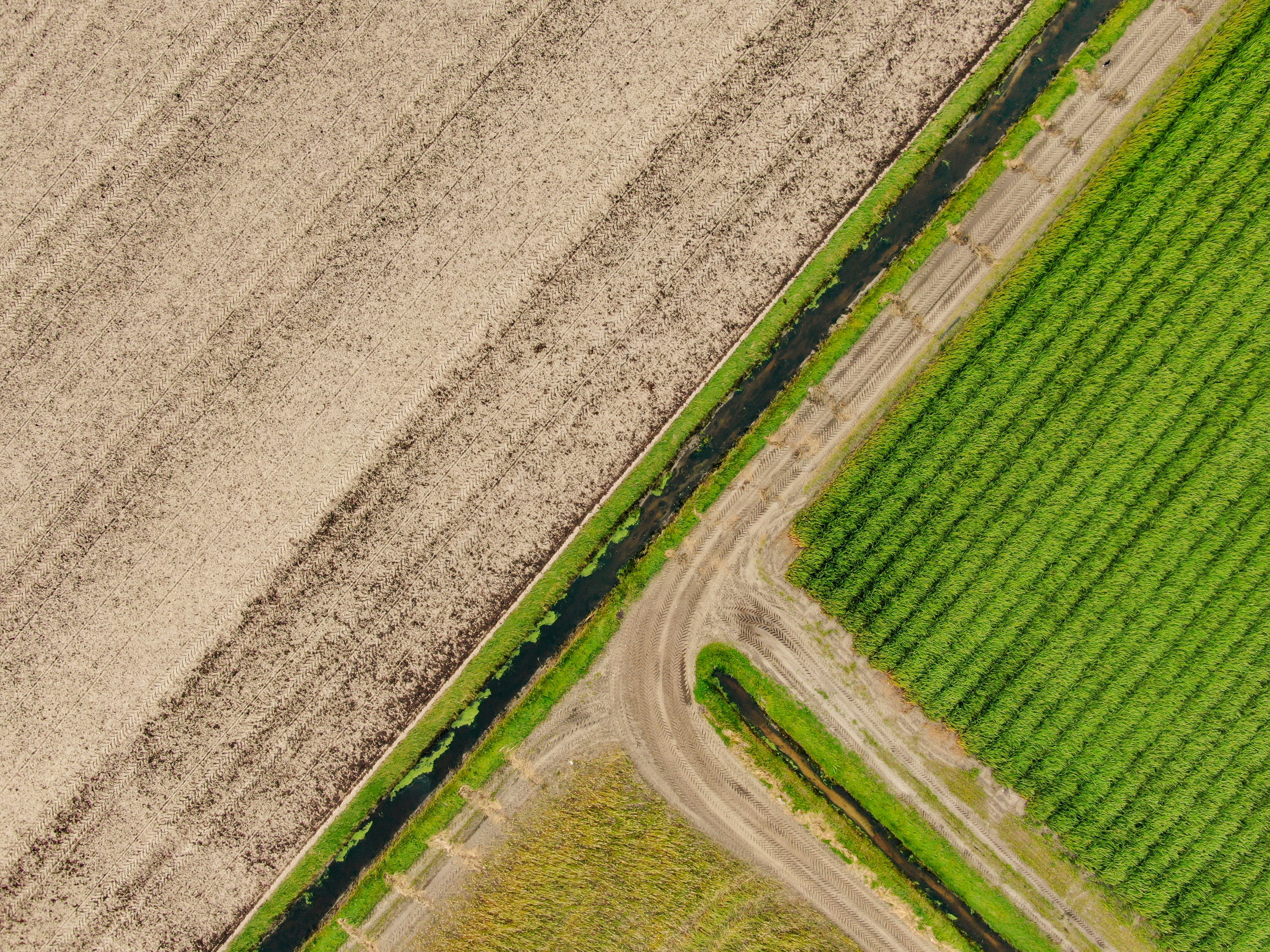 Photo by meister_stamm