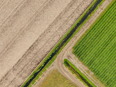Drone shot over fields showing drainage canals designed for optimal soil hydration.