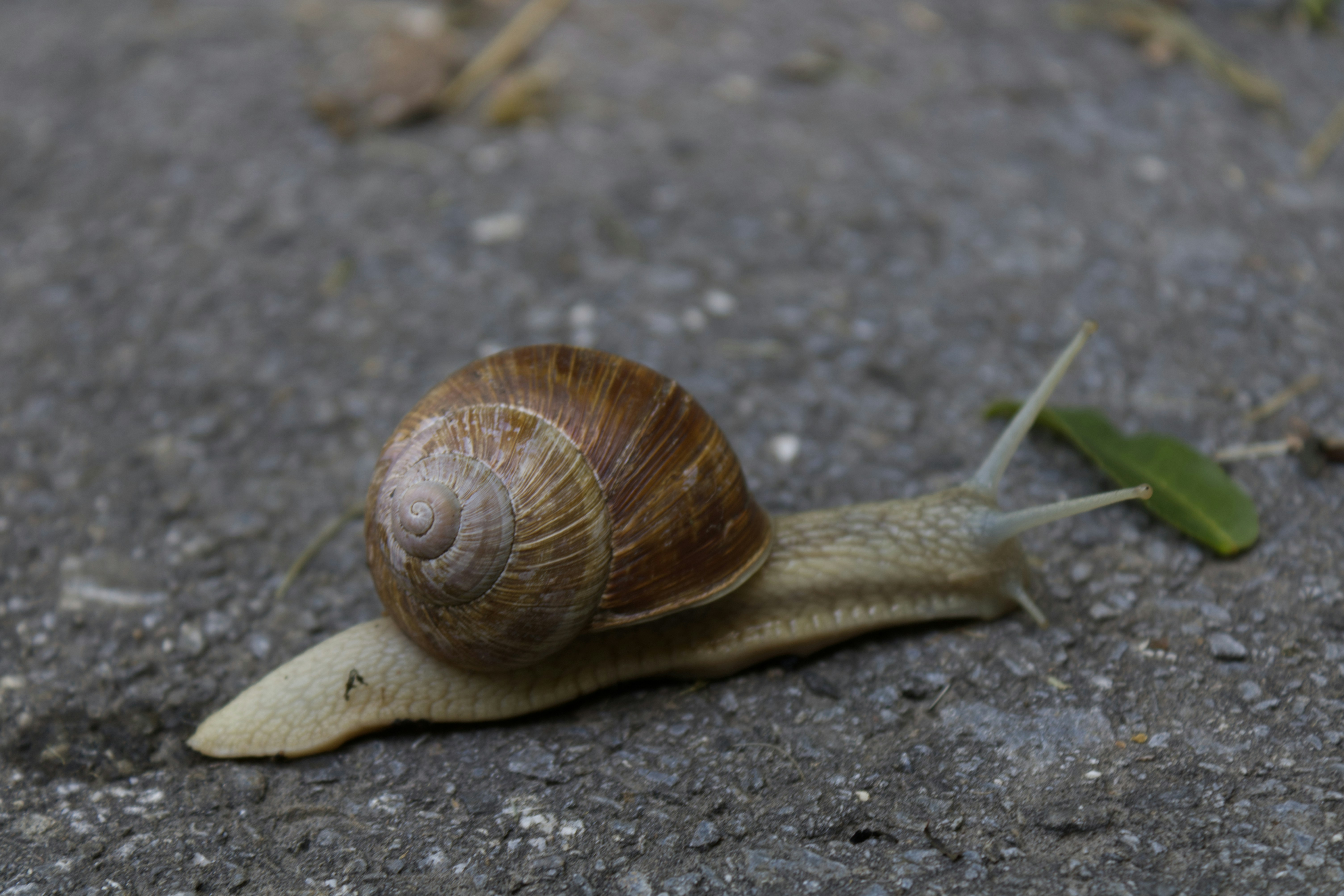 Geula Prochazka (@thegeula) | Komunitas Foto Unsplash