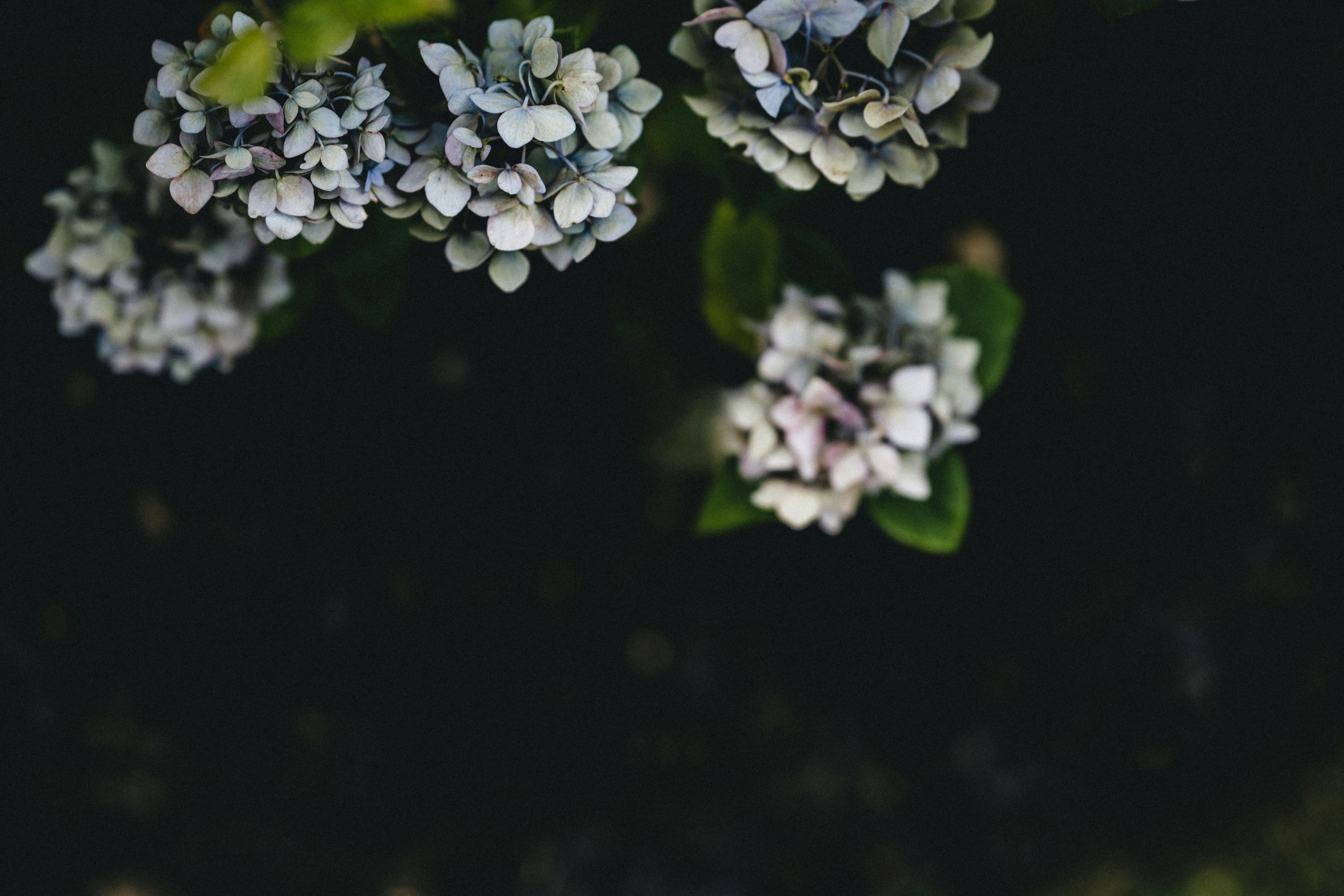 Photo by anniespratt