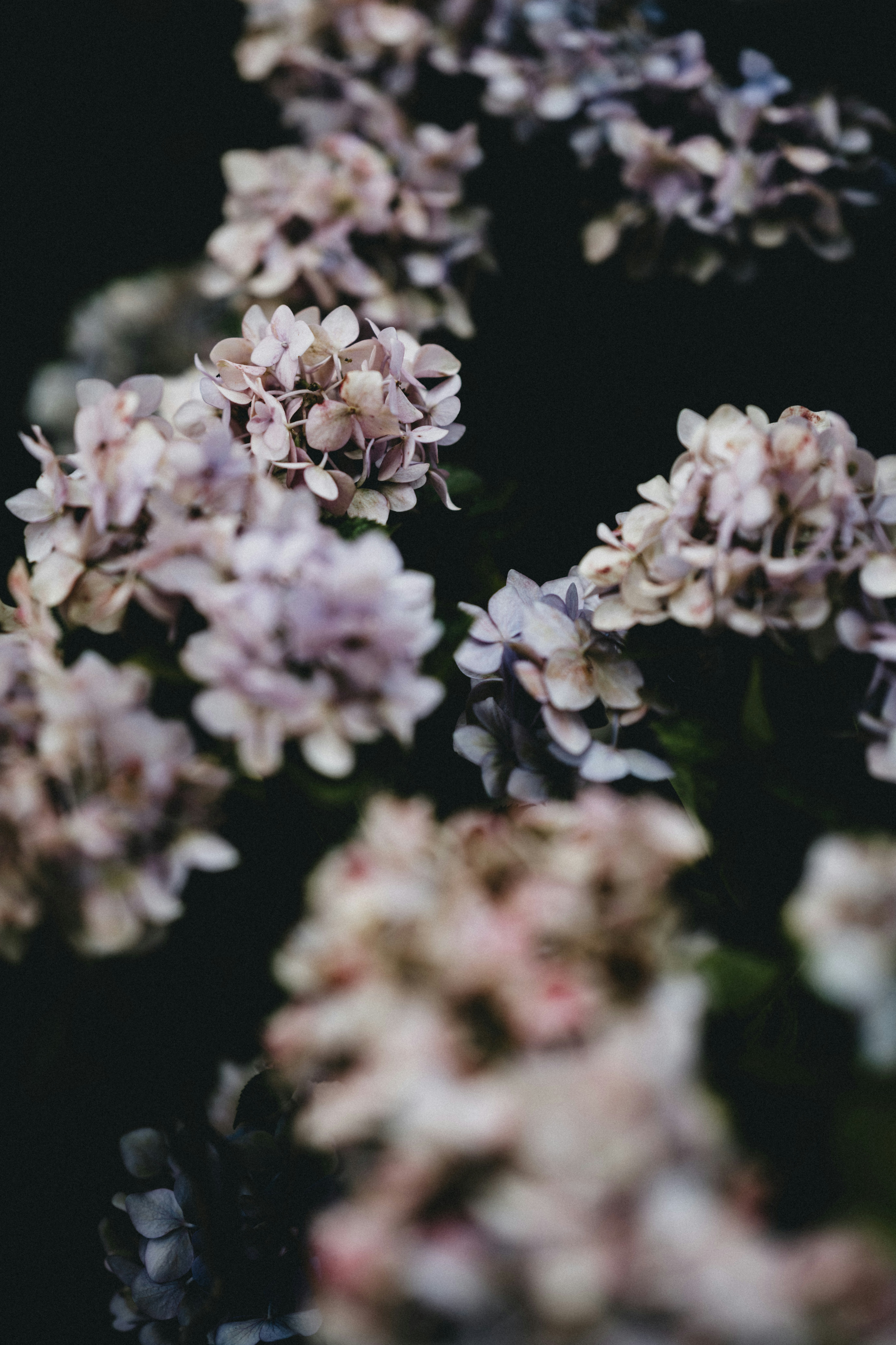 Photo by anniespratt