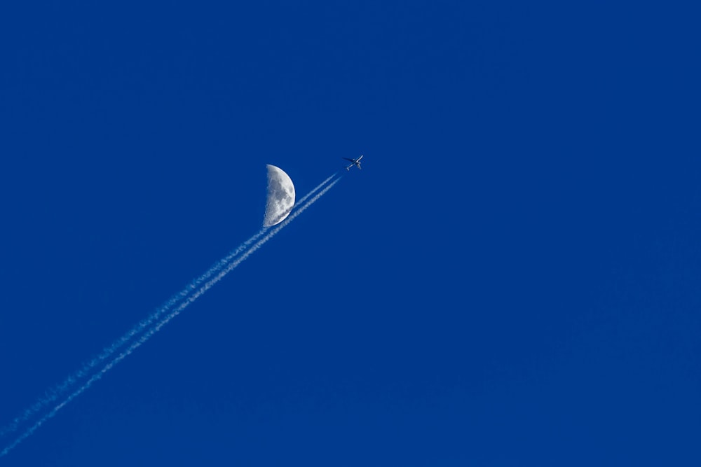 white bird flying under blue sky during daytime