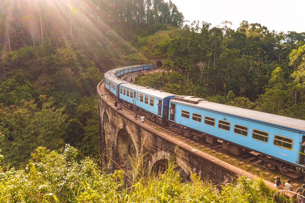 blue and white train on rail tracks