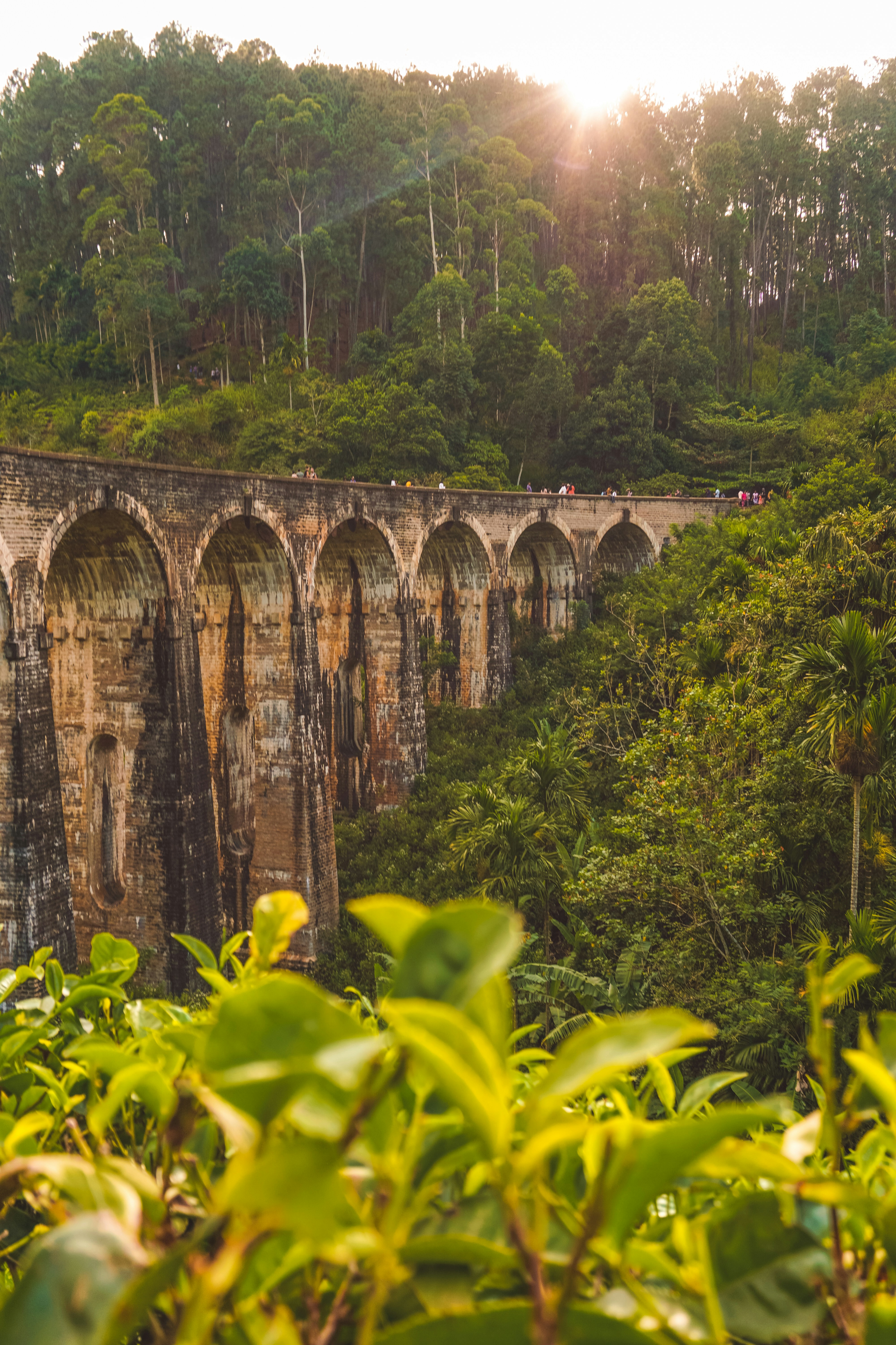 brown concrete bridge over river