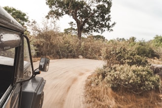A rugged SUV navigating a dusty rural road surrounded by lush greenery.