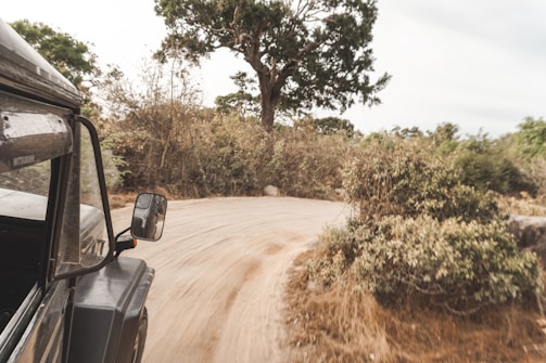 A rugged SUV navigating a dusty rural road surrounded by lush greenery.