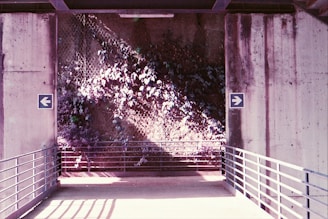 A concrete walkway with metal railings is flanked by two walls. On the left wall, there is a blue arrow pointing left, and on the right wall, a blue arrow points right. Behind the walkway, a wire mesh fence is partially covered in green and purple foliage, illuminated by sunlight.