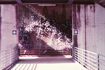 A concrete walkway with metal railings is flanked by two walls. On the left wall, there is a blue arrow pointing left, and on the right wall, a blue arrow points right. Behind the walkway, a wire mesh fence is partially covered in green and purple foliage, illuminated by sunlight.