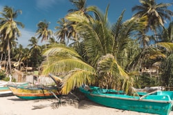 green and blue boat on beach during daytime