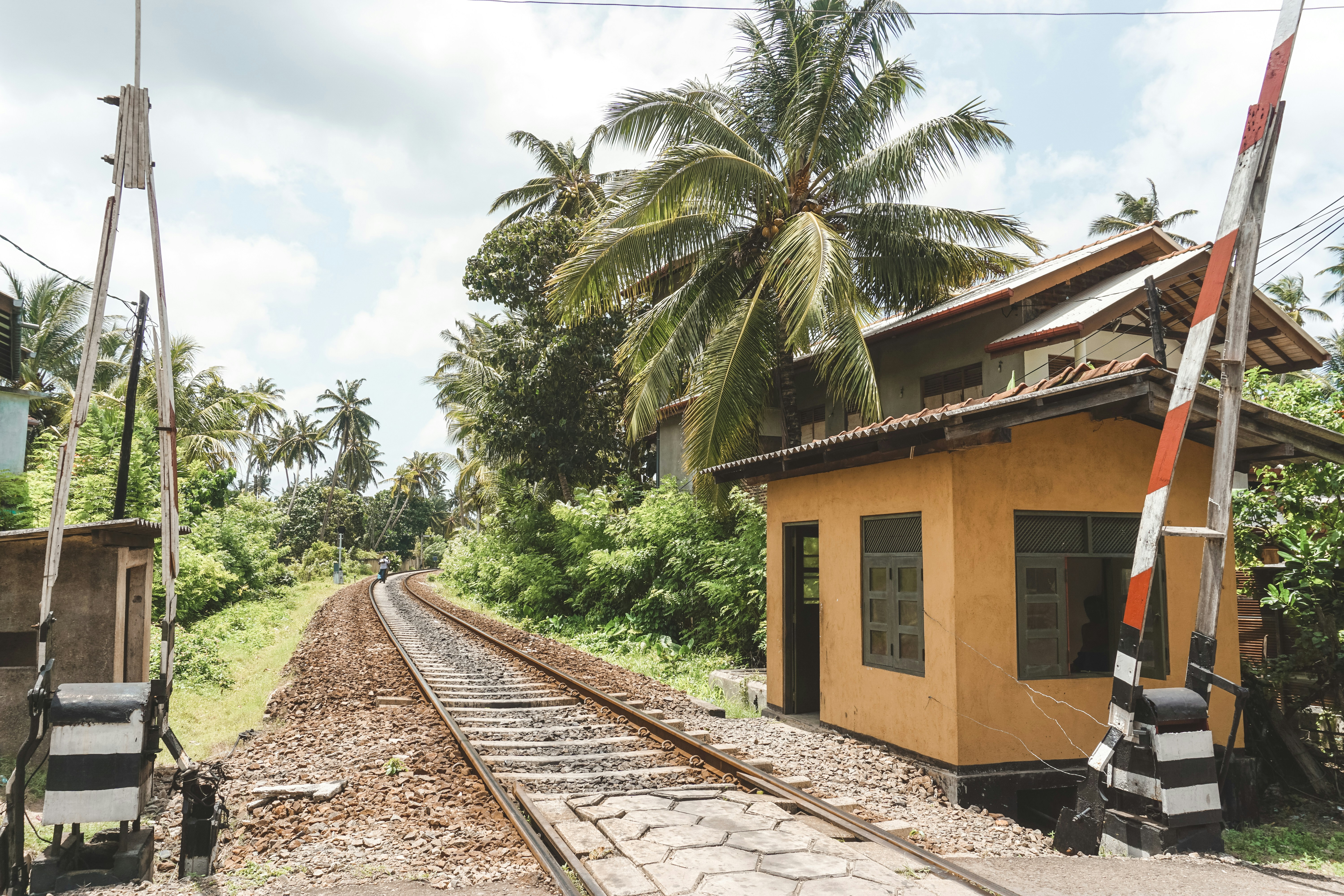 brown and white concrete house near green palm trees during daytime