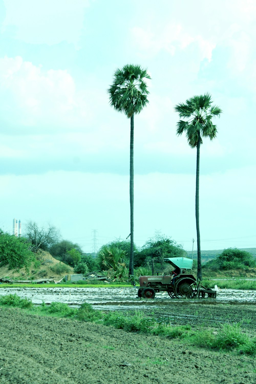 black and gray motorcycle on green grass field near green palm trees during daytime