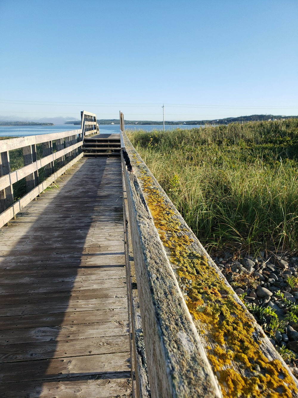 brown wooden bridge on sea shore during daytime