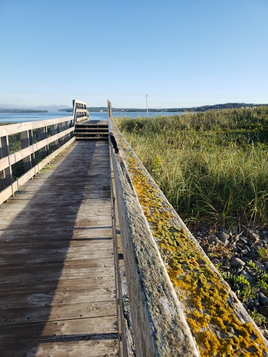 brown wooden bridge on sea shore during daytime in Lawrencetown Canada