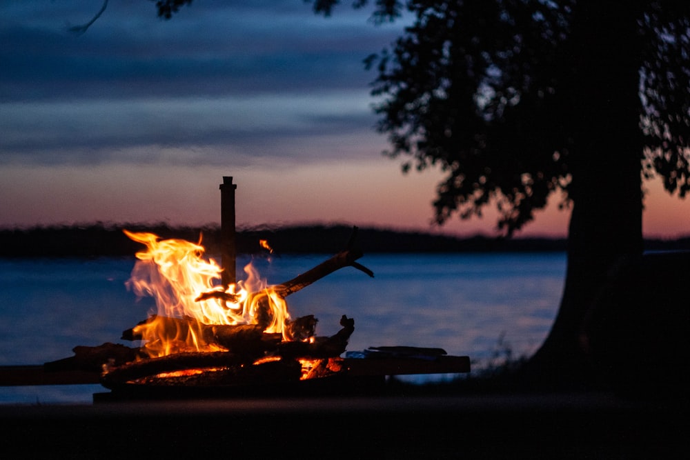 bonfire near body of water during night time