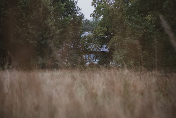 A professional real estate agent showing a hidden property to clients.
