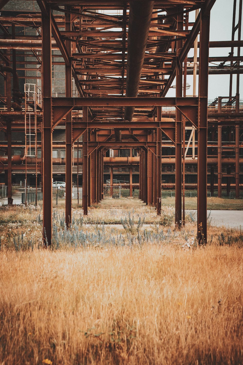 Bâtiment en bois brun sur un champ d’herbe brune pendant la journée