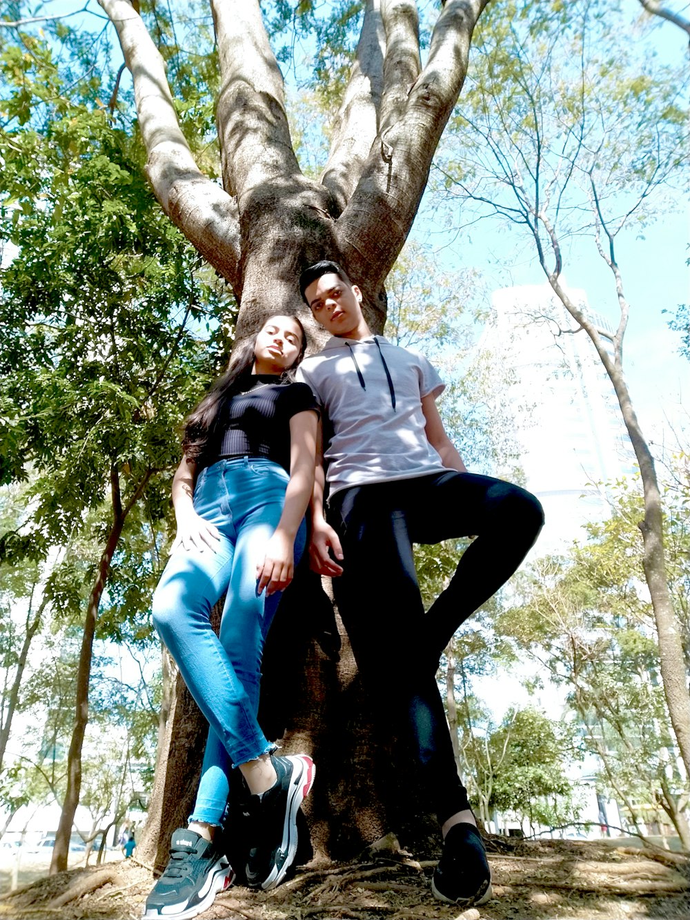 man in blue polo shirt and blue denim jeans sitting on brown tree