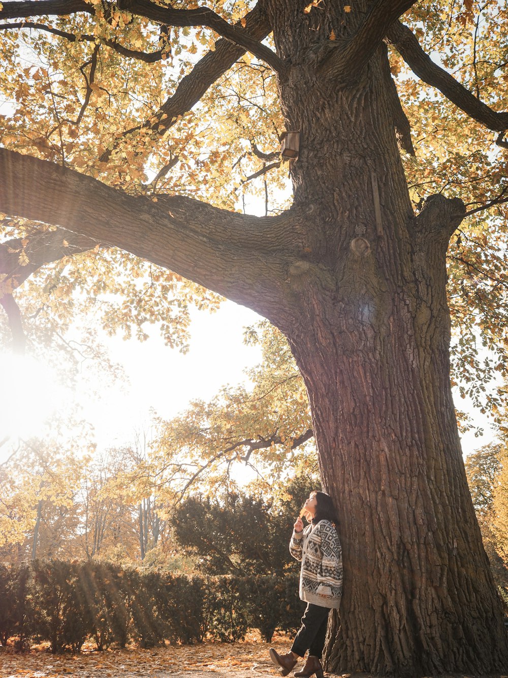 woman in black and white dress standing under brown tree during daytime