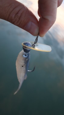 A hand is holding a fishing lure that resembles a small fish. The lure has a metallic hook and a translucent lip, and it is being held over a body of water, likely intended for fishing.