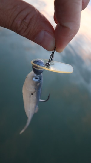 A hand is holding a fishing lure that resembles a small fish. The lure has a metallic hook and a translucent lip, and it is being held over a body of water, likely intended for fishing.