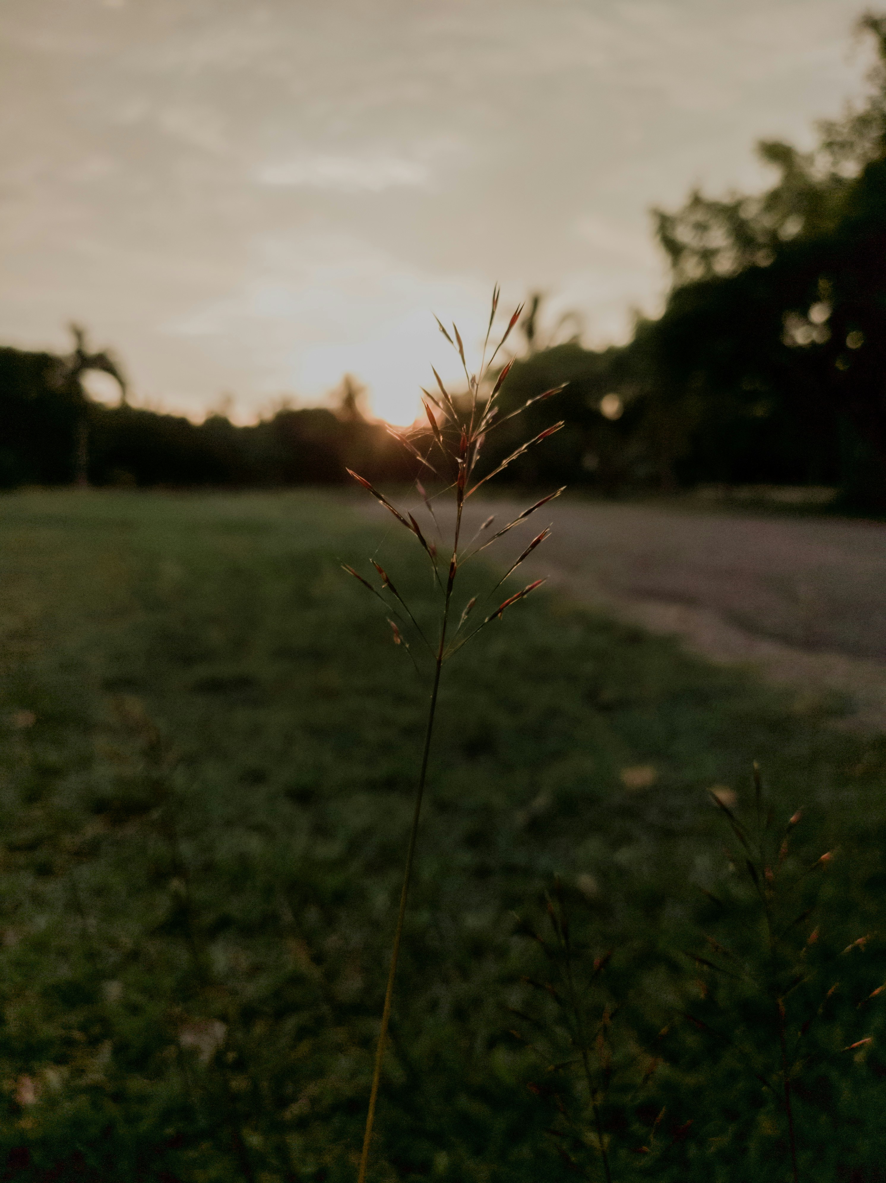 Photo by mynameisiknow