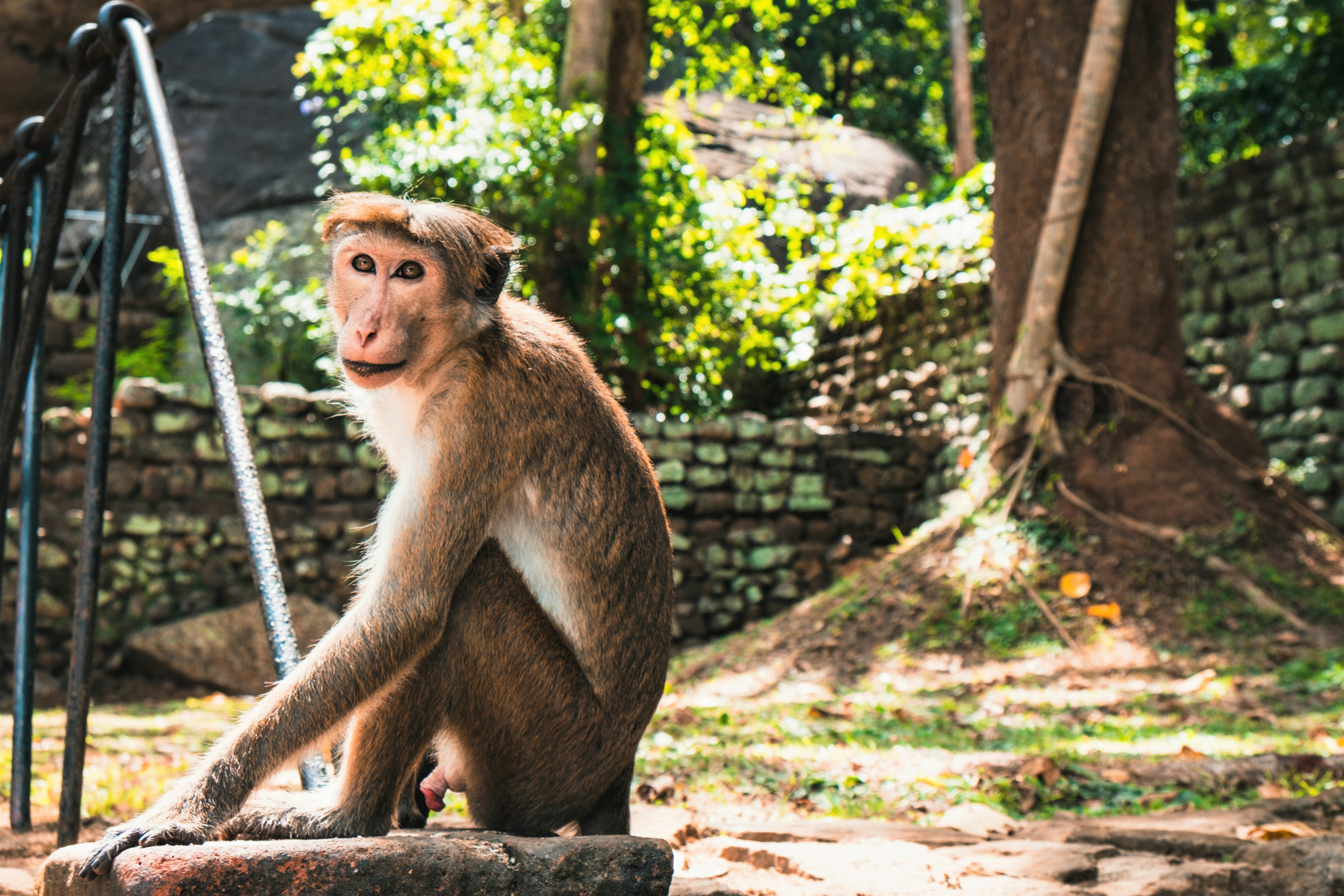 Photo by silverringvee