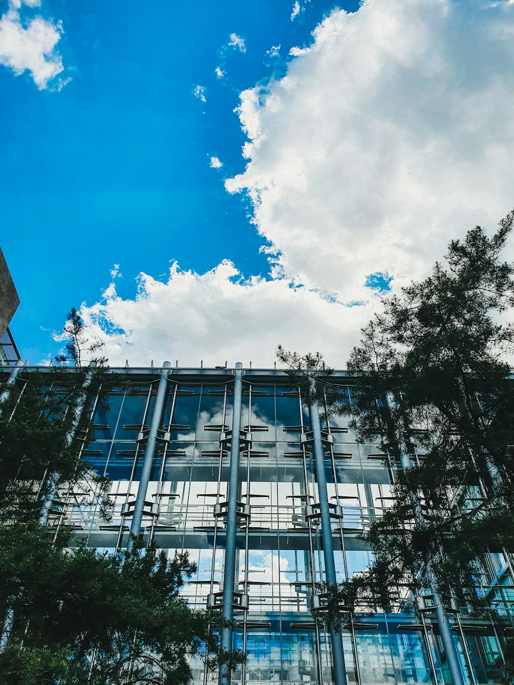 low angle photography of trees and buildings under blue sky and white clouds during daytime