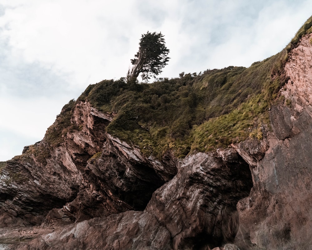 green trees on brown rock formation under white clouds during daytime