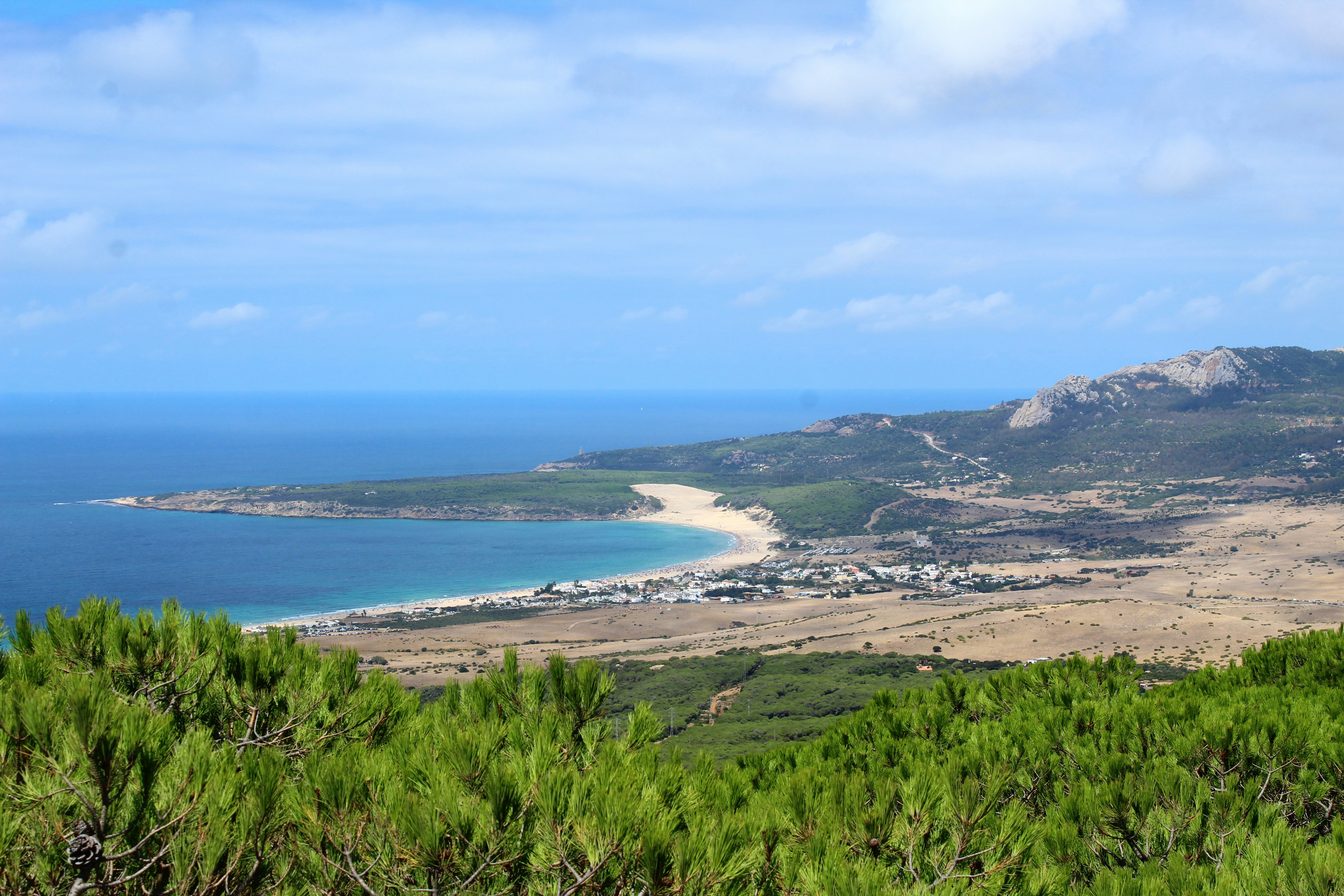 alberi verdi vicino allo specchio d'acqua durante il giorno