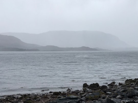 gray rocks on sea shore during daytime in Loch Torridon United Kingdom