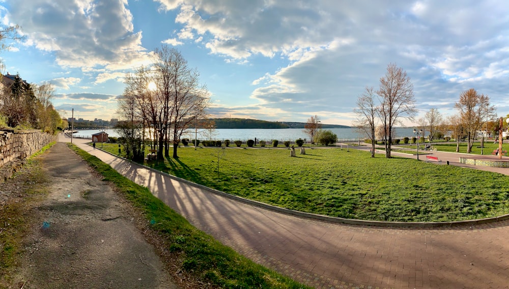 Grünes Grasfeld in der Nähe von Gewässern unter blauem Himmel tagsüber