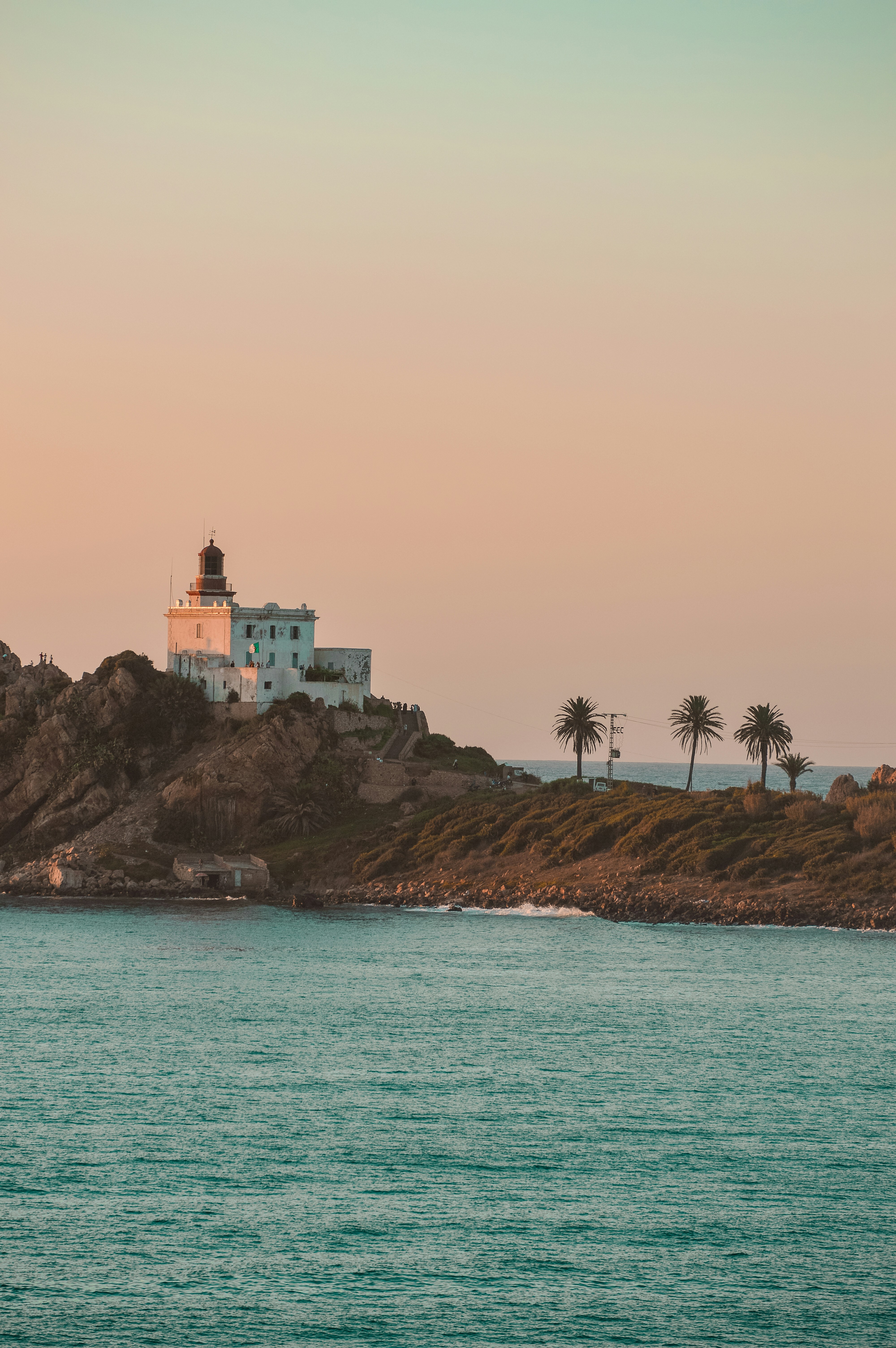 NestPhone accessories showcase