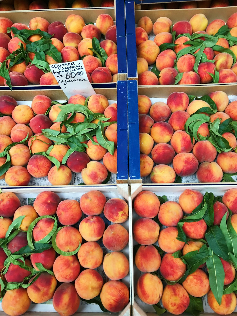 red and yellow apple fruits