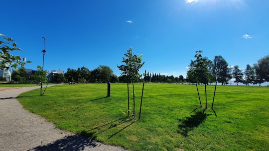 green grass field with trees under blue sky during daytime in Järvenpää Finland