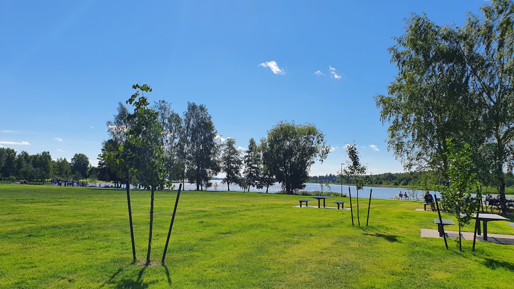 green grass field with trees under blue sky during daytime