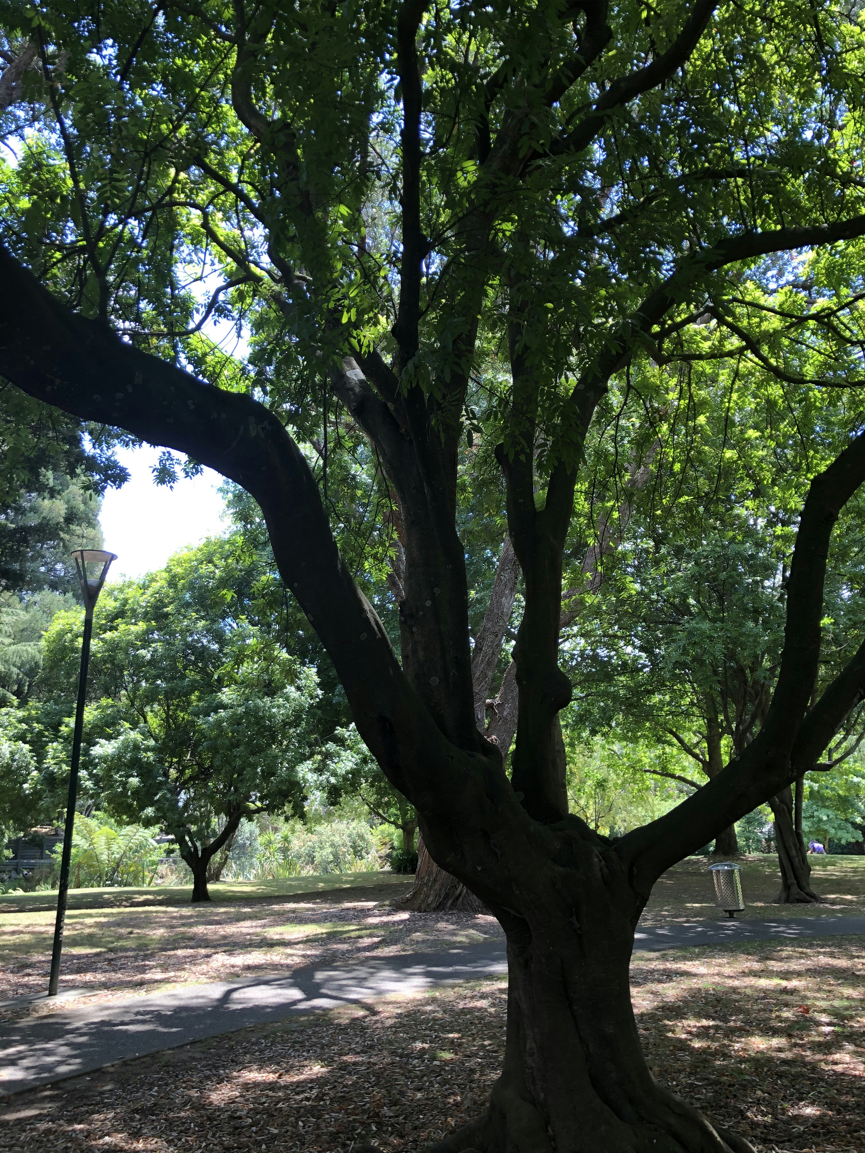 Photo by pierrehenry