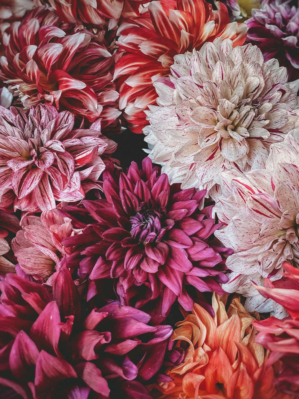 pink and white flower bouquet