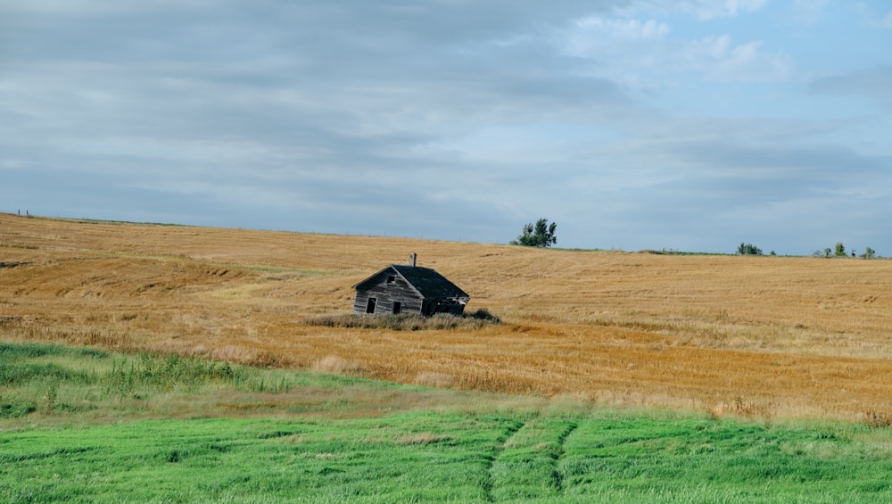 brown and black house on green grass field under white clouds during daytime